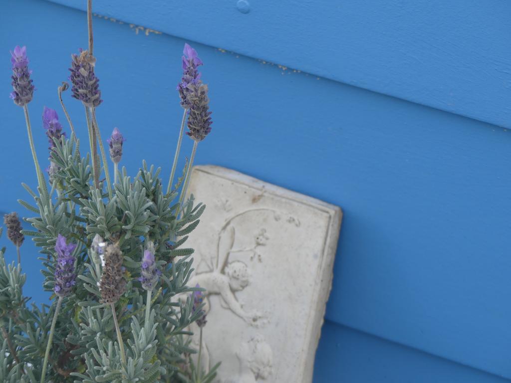 Ki Dragonfly Guesthouse Kingscote Exteriér fotografie